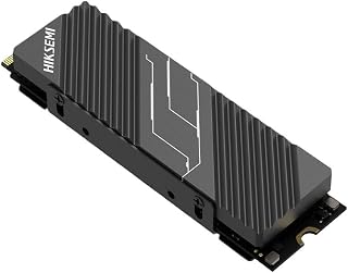 Hiksemi Future Lite with Heatsink 2TB