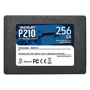 Patriot P210 256GB