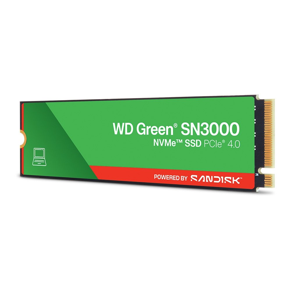 SanDisk SN3000 500GB