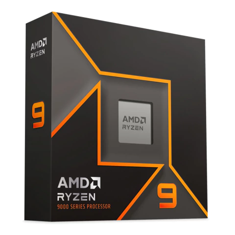 AMD Ryzen 9 9900X