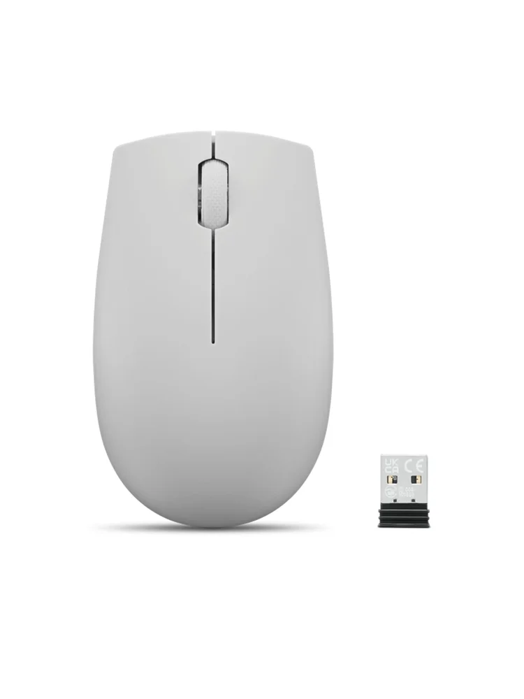 Lenovo 300 Cinza Sem Fio GY51L15678