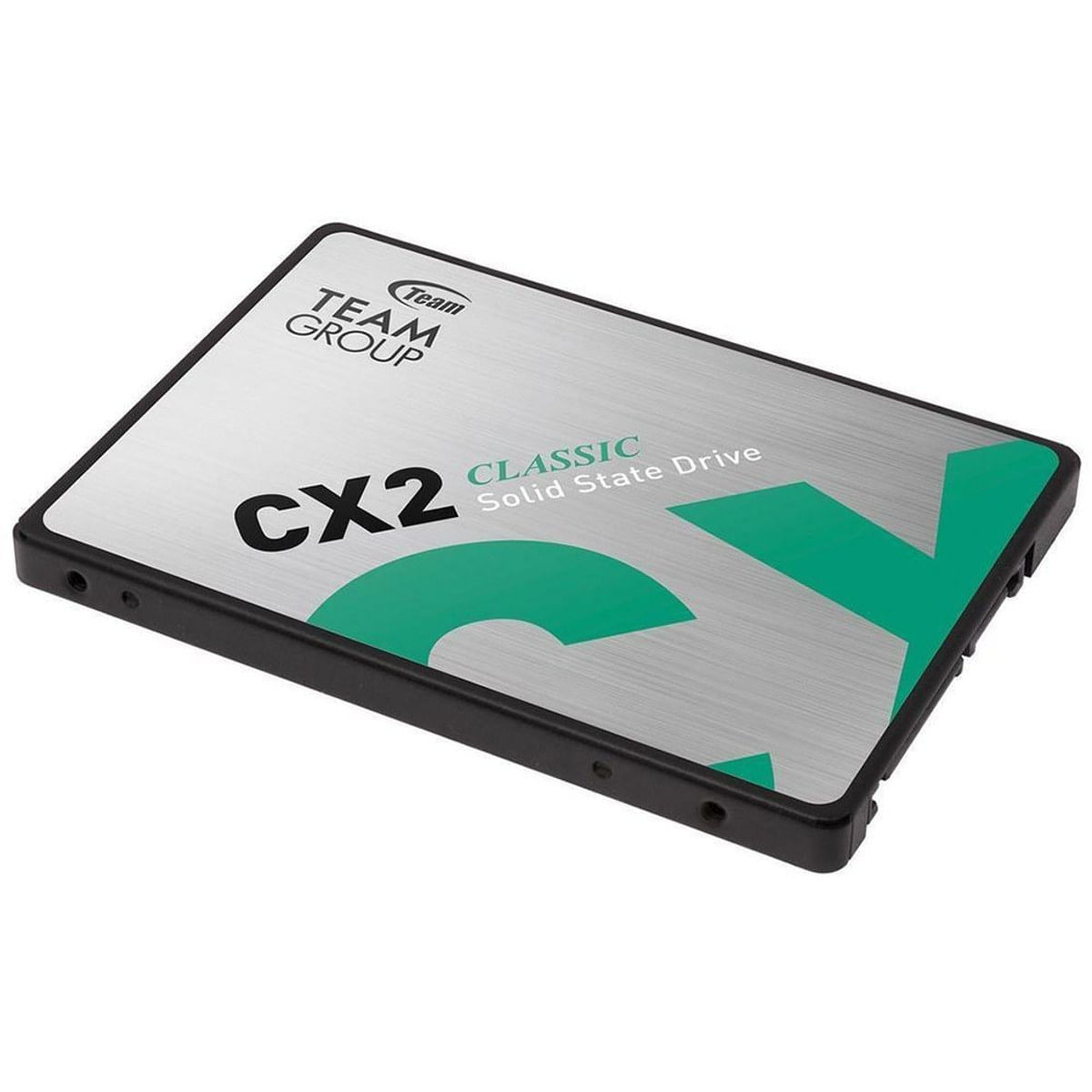 Team Group CX2 256GB