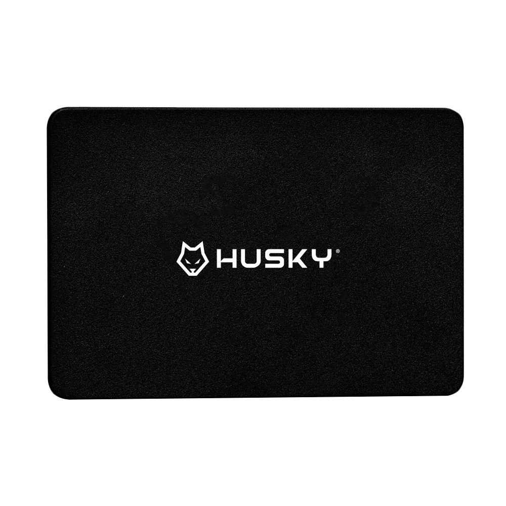 Husky HSSD001256 256GB