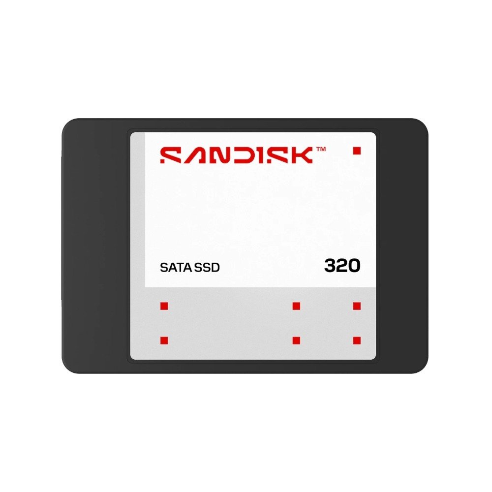 SanDisk 320 250GB