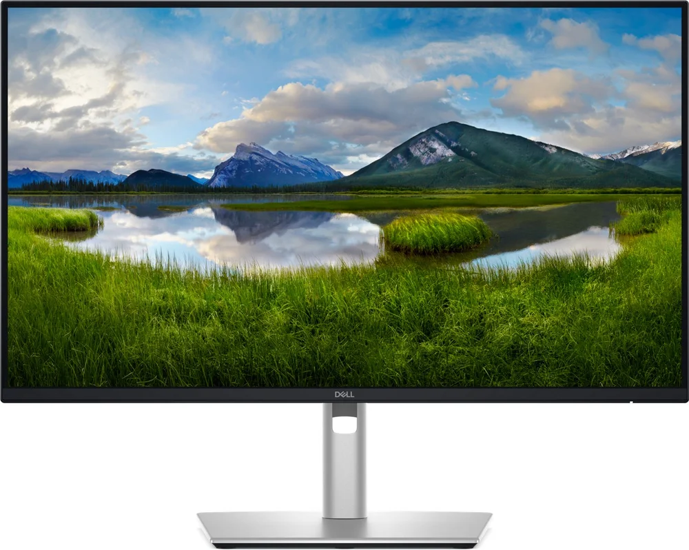 Dell Pro 23.8 Plus P2425D